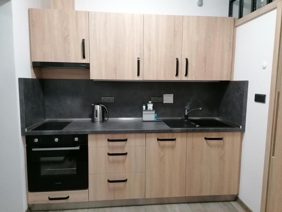 Apartman 88 Cervena Voda Luaran gambar